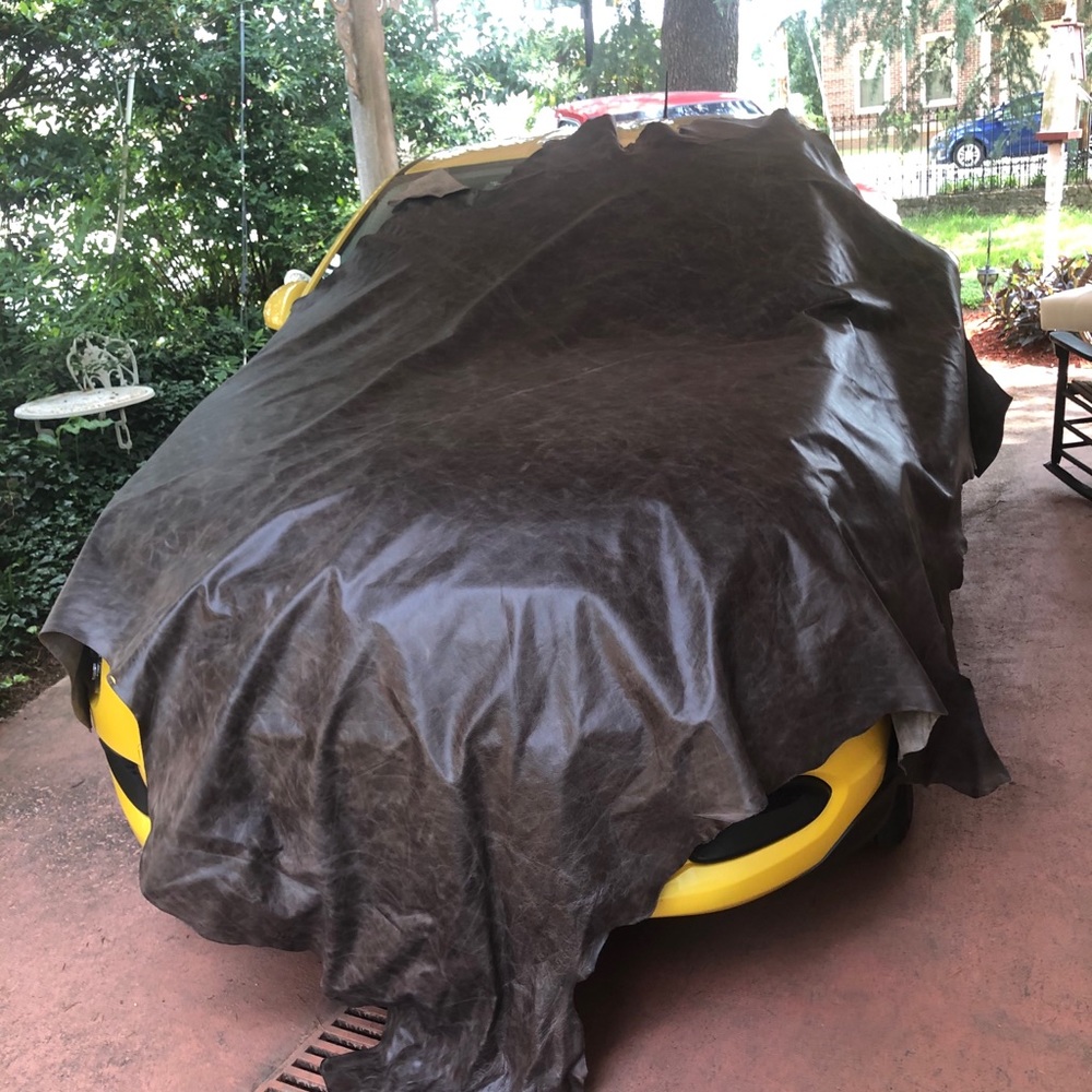 COPY - Italian leather hides